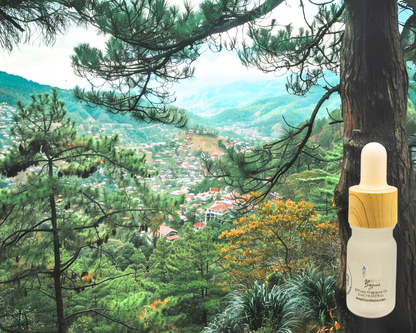 5ml Fragrance Oil - Baguio