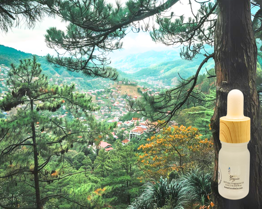 5ml Fragrance Oil - Baguio