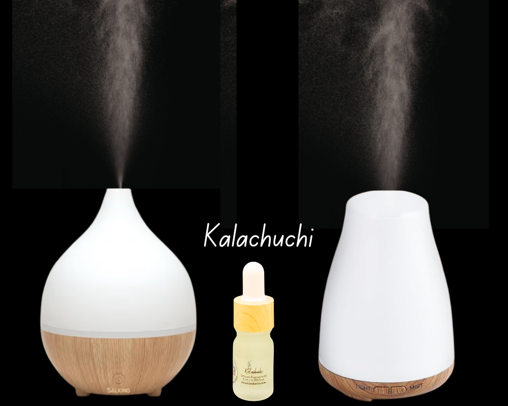 5ml Fragrance Oil - Kalachuchi
