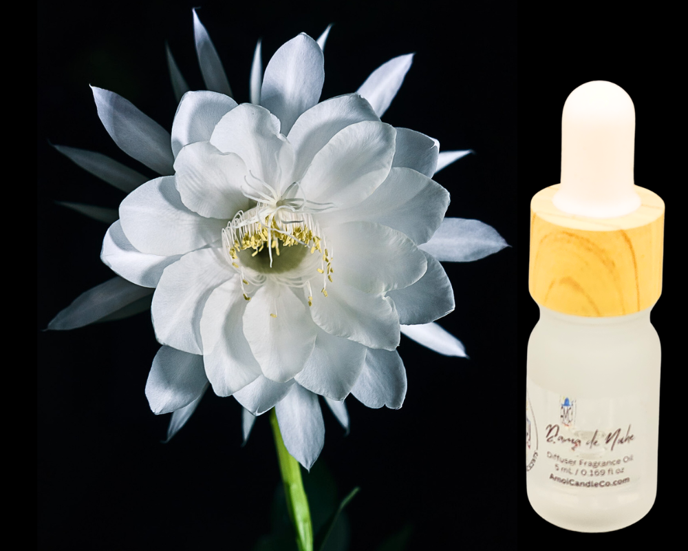 5ml Fragrance Oil - Dama de Noche