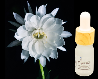 5ml Fragrance Oil - Dama de Noche