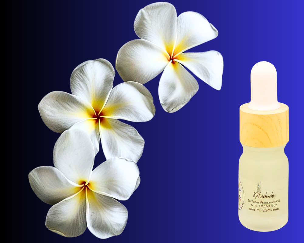 5ml Fragrance Oil - Kalachuchi