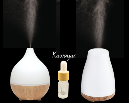 5ml Fragrance Oil - Kawayan